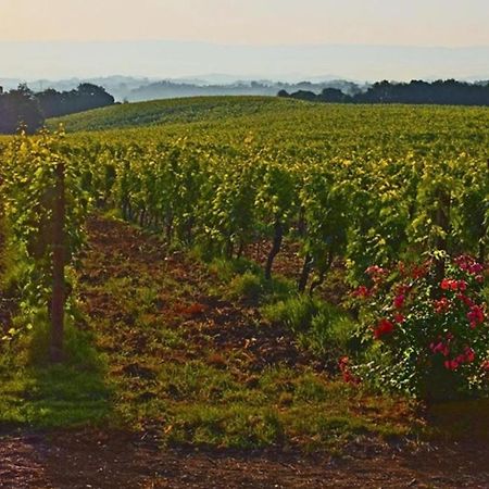 Agriturismo Fattoria Il Piano - Appartamento Focolare - Сан-Джиміньяно Екстер'єр фото