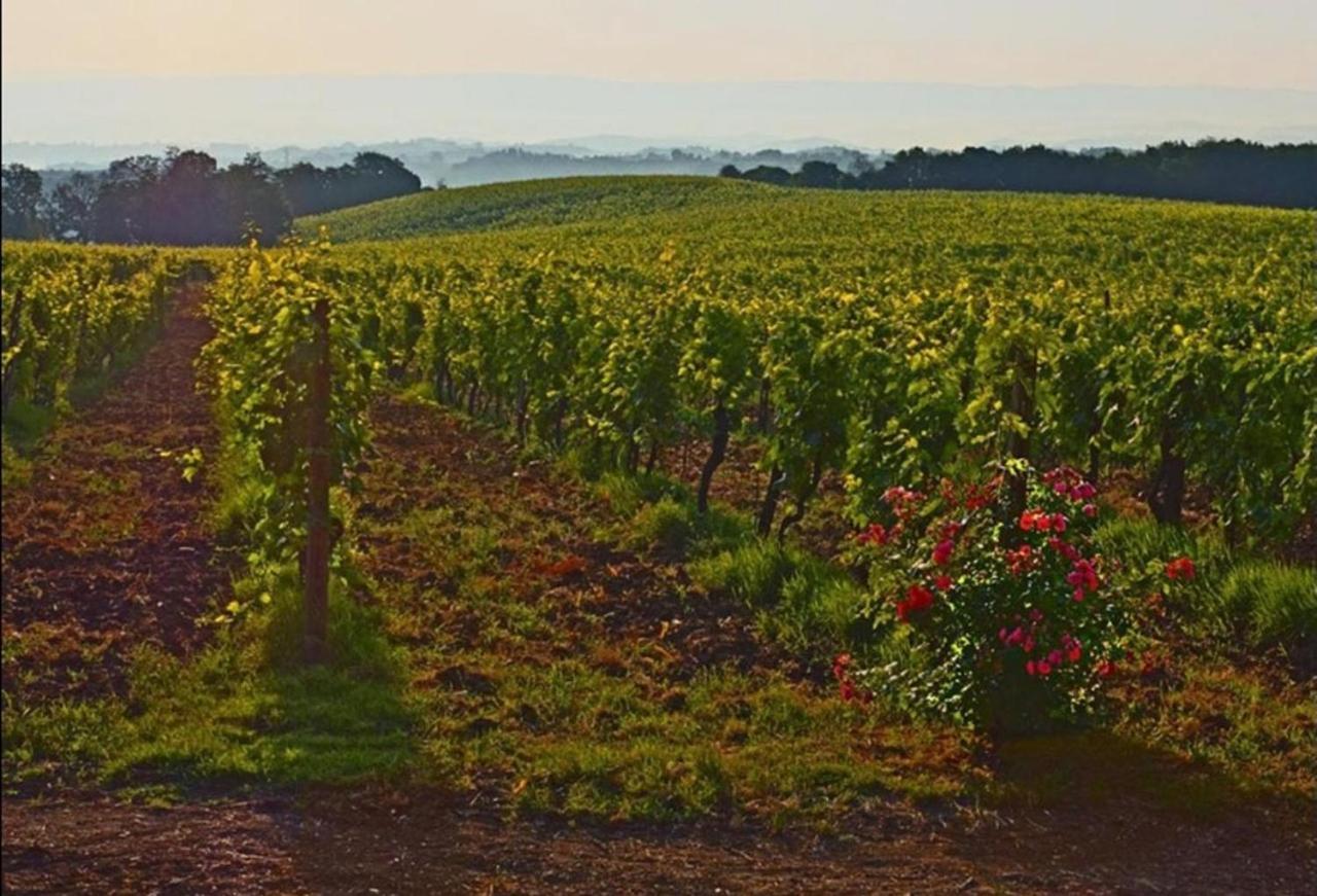 Agriturismo Fattoria Il Piano - Appartamento Focolare - Сан-Джиміньяно Екстер'єр фото