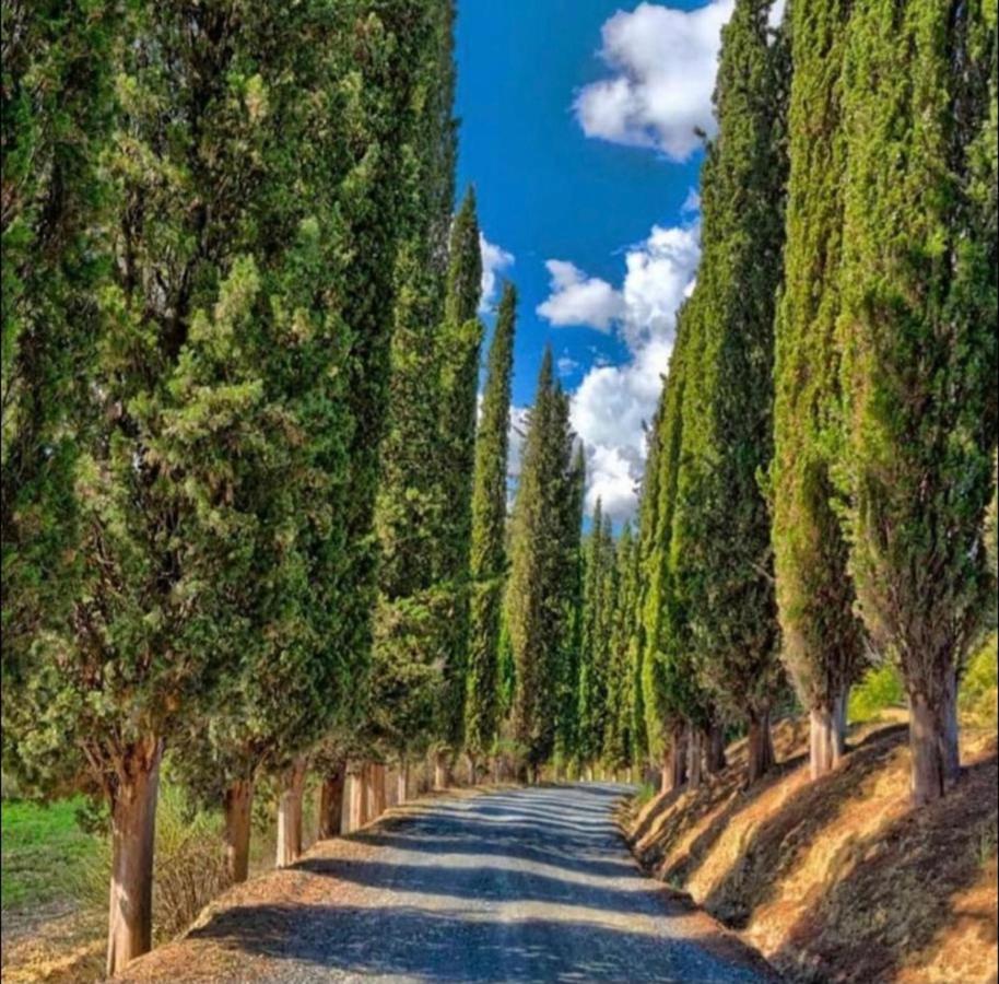 Agriturismo Fattoria Il Piano - Appartamento Focolare - Сан-Джиміньяно Екстер'єр фото